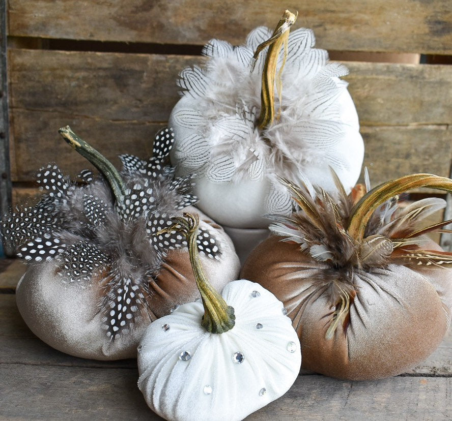 Champagne Pumpkin with Guinea Feathers