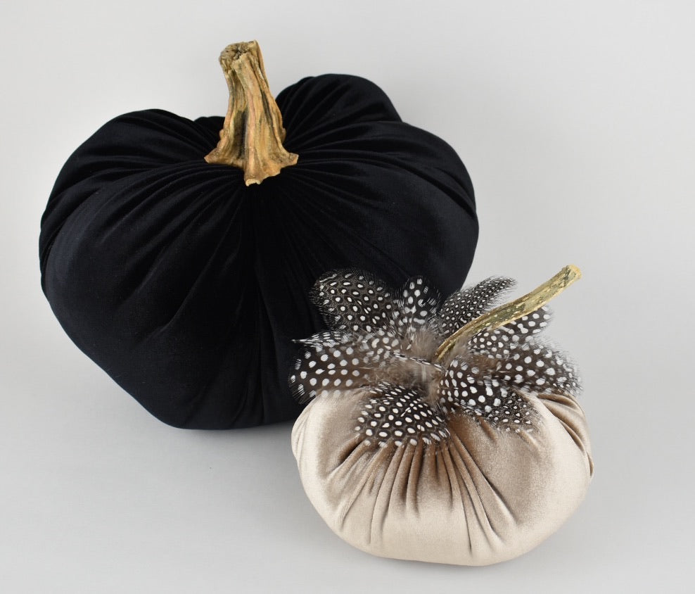 Champagne Pumpkin with Guinea Feathers