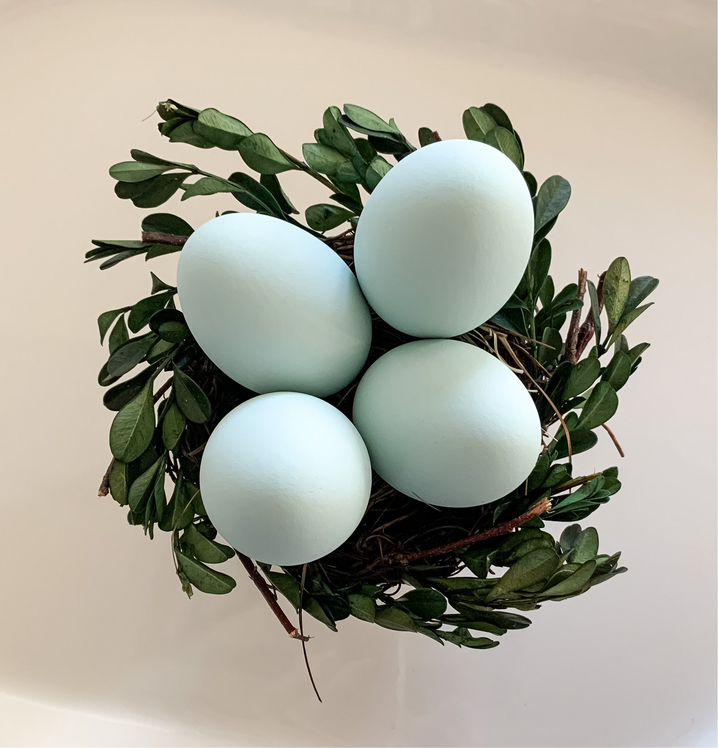 Blue Eggs, Dozen